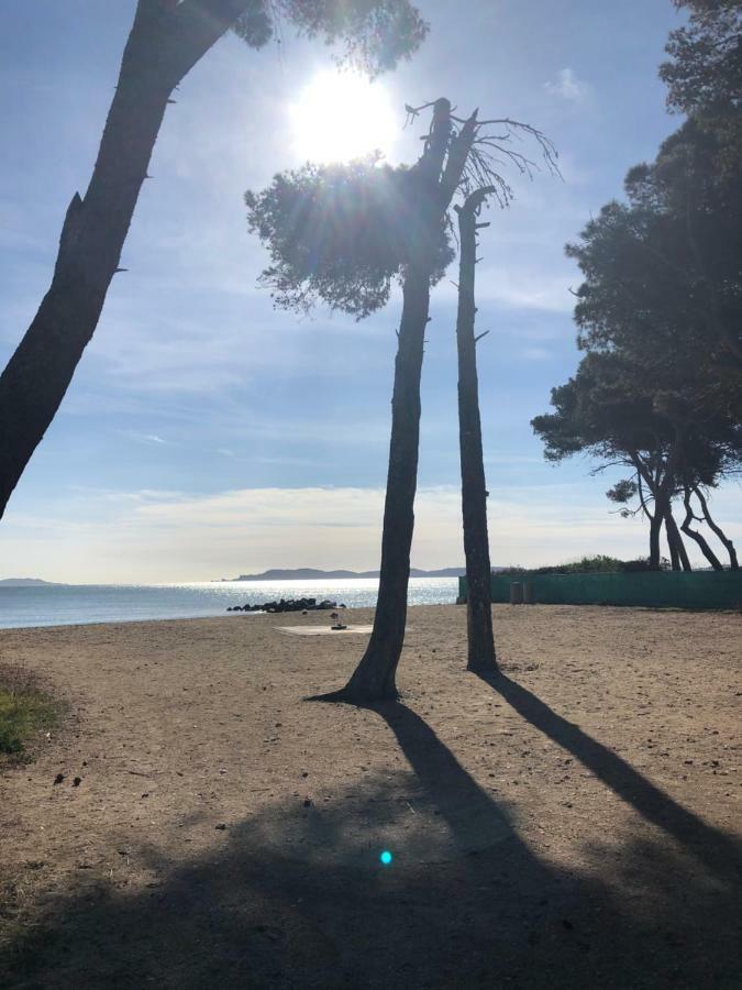 residence port hyeres les palmiers Exterior foto